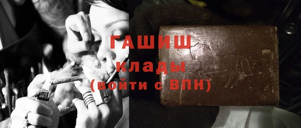 дживик Бородино