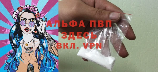 дживик Бородино